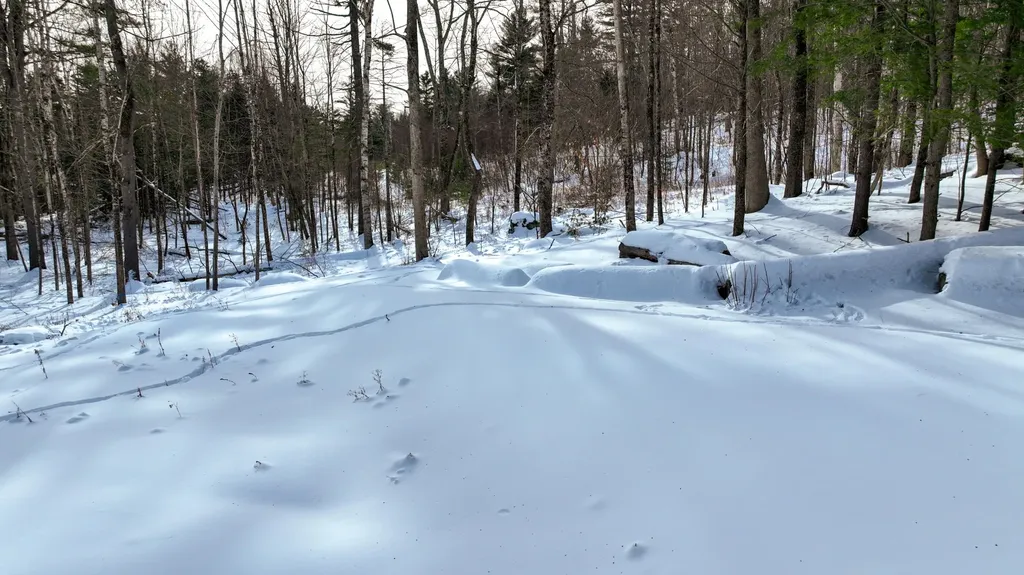 20 Skyscraper Hill Road Brooks ME 04921