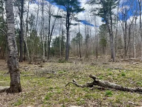20 Skyscraper Hill Road Brooks ME 04921