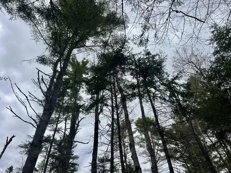 20 Skyscraper Hill Road Brooks ME 04921