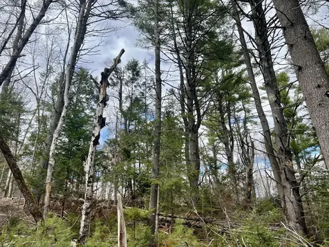 20 Skyscraper Hill Road Brooks ME 04921