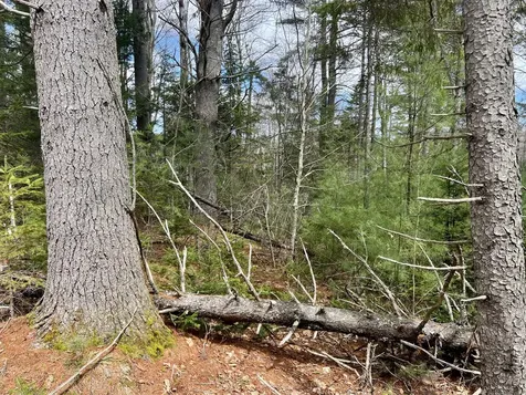 20 Skyscraper Hill Road Brooks ME 04921