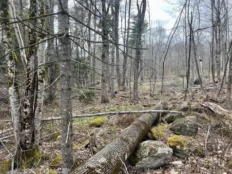20 Skyscraper Hill Road Brooks ME 04921