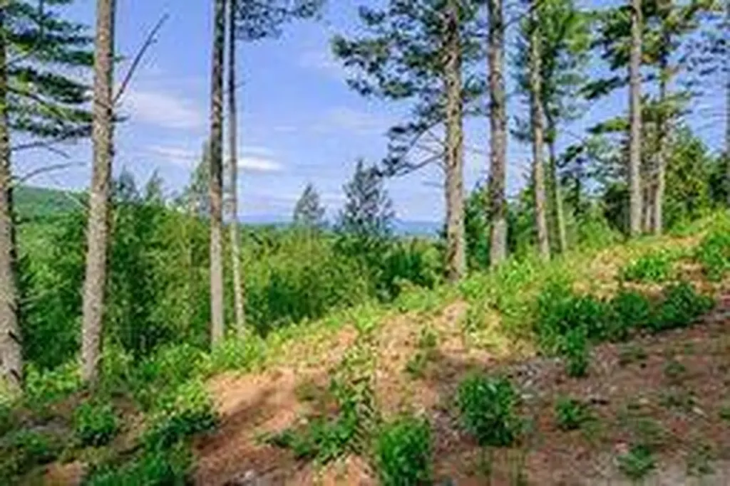 625 Valley Road Waterford ME 04088