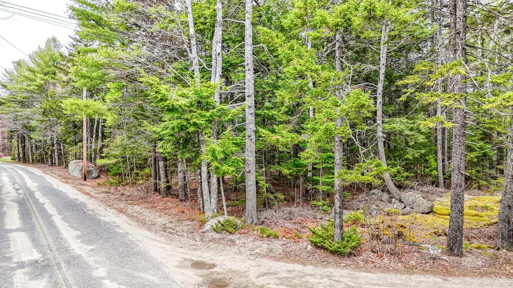 2 Wolf Cove Road Eastbrook ME 04634
