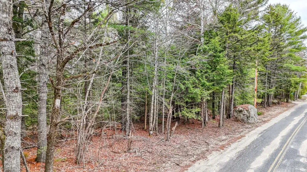 2 Wolf Cove Road Eastbrook ME 04634