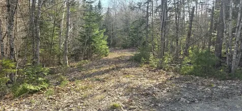 M97LOT 3-3 Peninsula Drive Ellsworth ME 04605