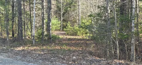 M97LOT 3-3 Peninsula Drive Ellsworth ME 04605