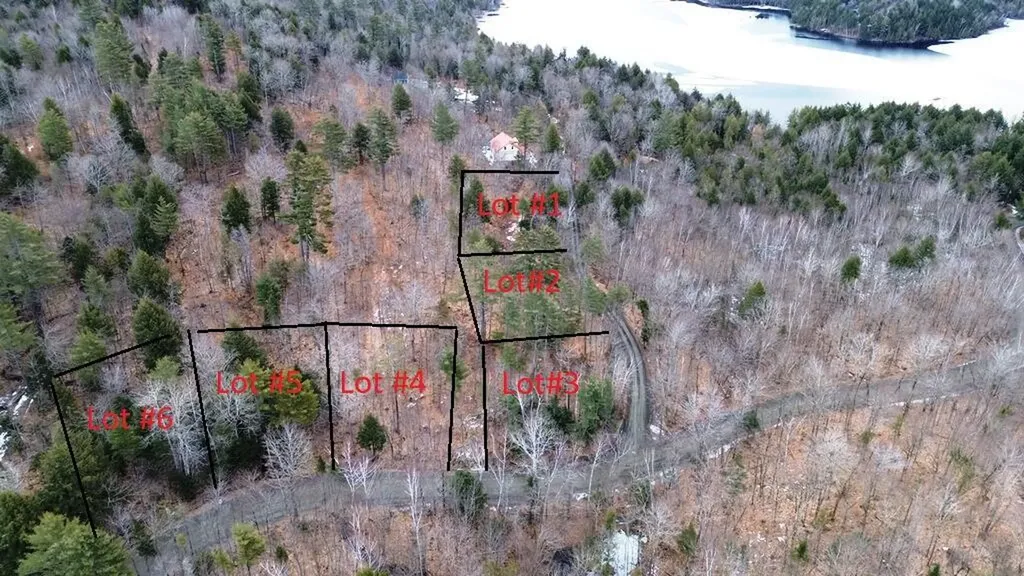 Lot 5 Peterson Road Bowerbank ME 04426