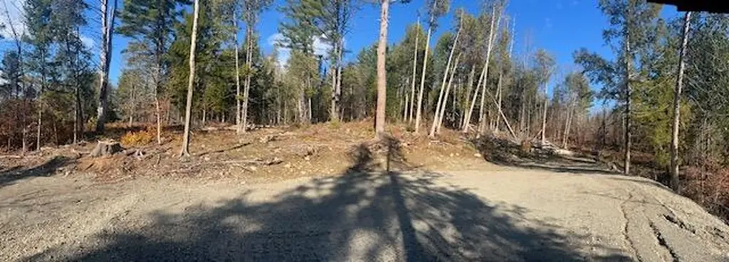 Lot 5 Peterson Road Bowerbank ME 04426