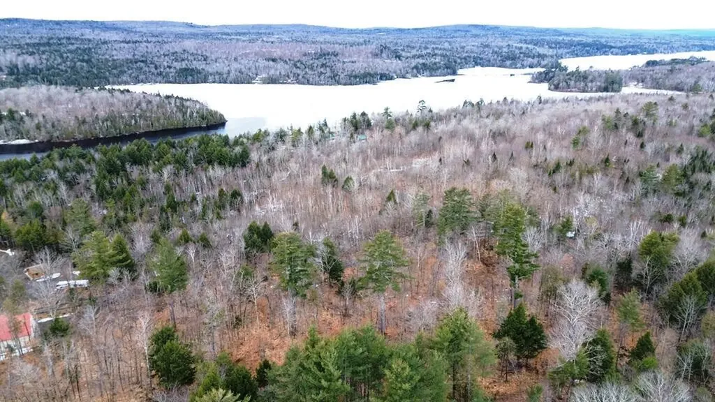 Lot 5 Peterson Road Bowerbank ME 04426