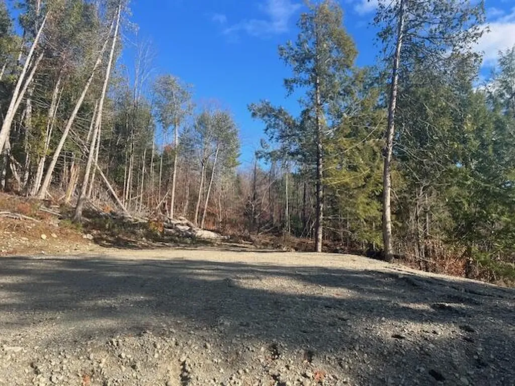 Lot 5 Peterson Road Bowerbank ME 04426