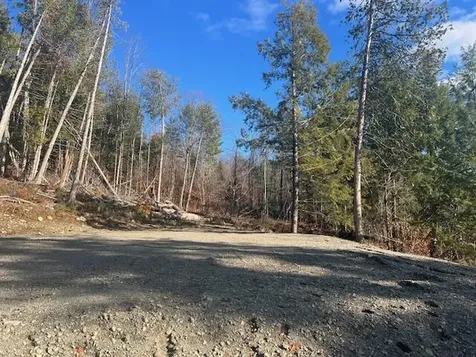 Lot 5 Peterson Road Bowerbank ME 04426