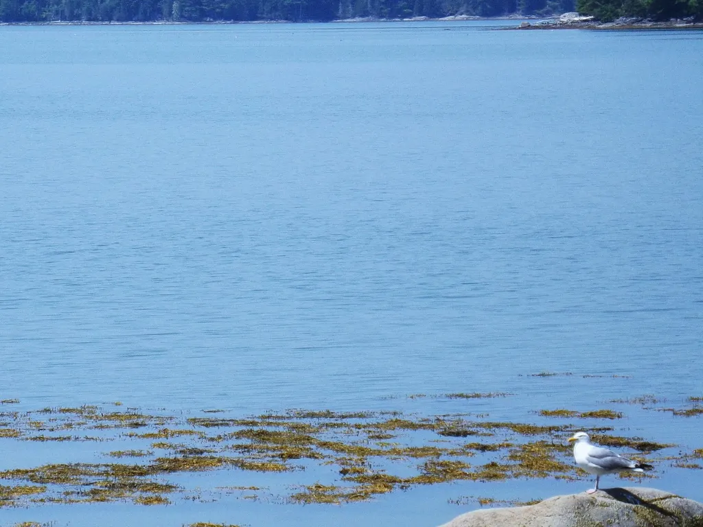 73 Taunton Bay Shores Road Franklin ME 04634