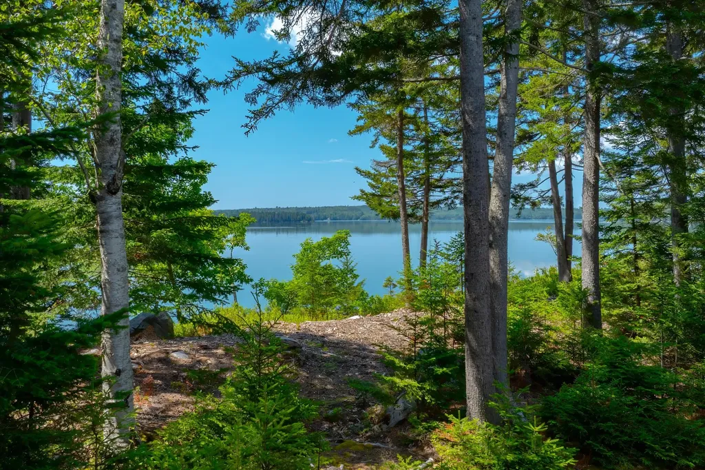 73 Taunton Bay Shores Road Franklin ME 04634