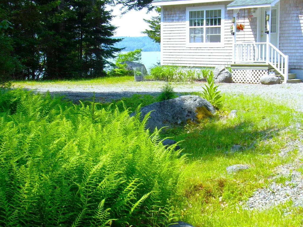 73 Taunton Bay Shores Road Franklin ME 04634