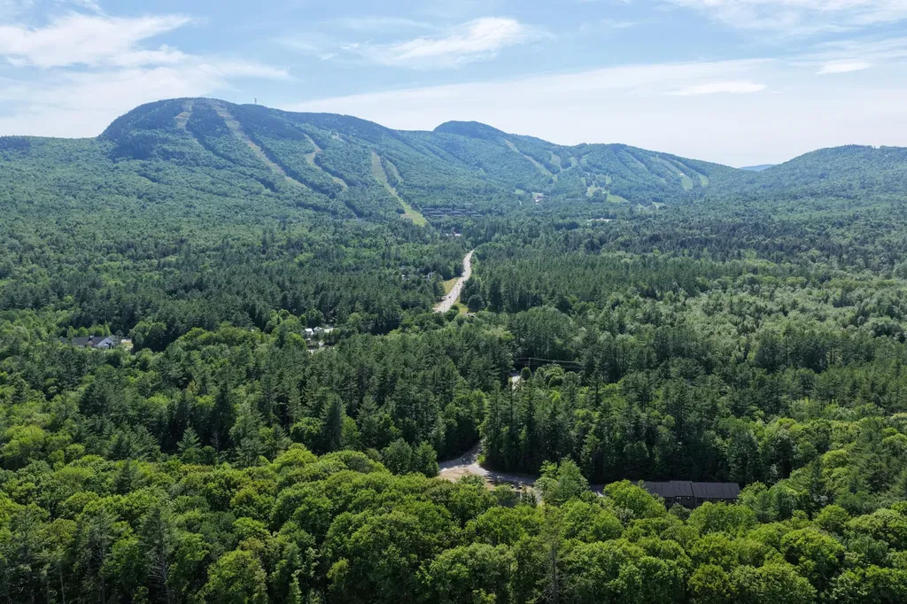 15 Lodgepole Lane Newry ME 04261