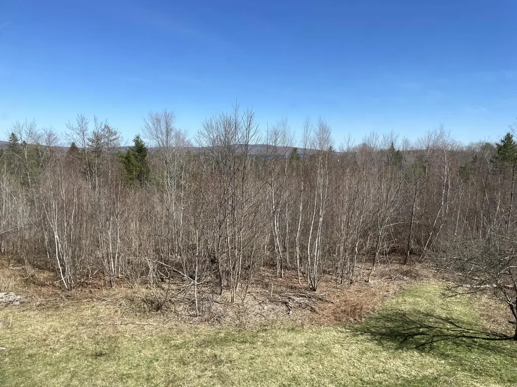 20 Bean Hill Harmony ME 04942