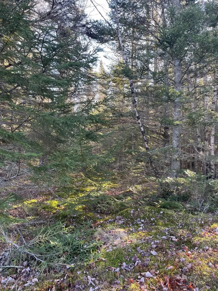 47/48D Duck Cove Road Roque Bluffs ME 04654
