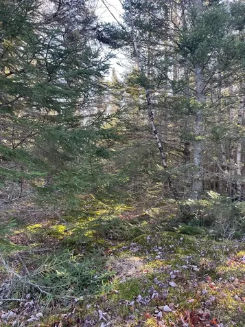 47/48D Duck Cove Road Roque Bluffs ME 04654