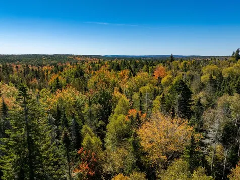 47/48D Duck Cove Road Roque Bluffs ME 04654