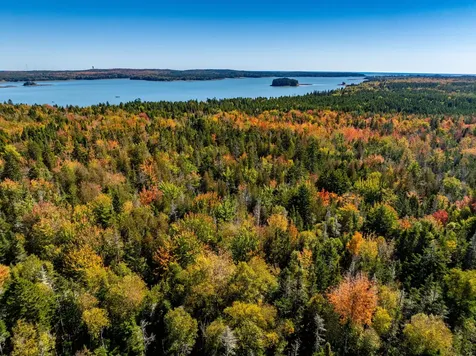 47/48D Duck Cove Road Roque Bluffs ME 04654