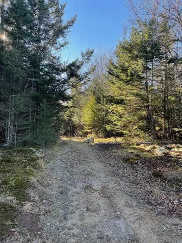 47/48D Duck Cove Road Roque Bluffs ME 04654