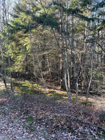 47/48D Duck Cove Road Roque Bluffs ME 04654
