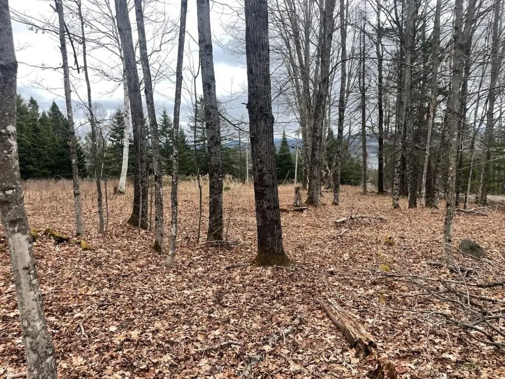 M7L67-11 Amber Road Rangeley ME 04970