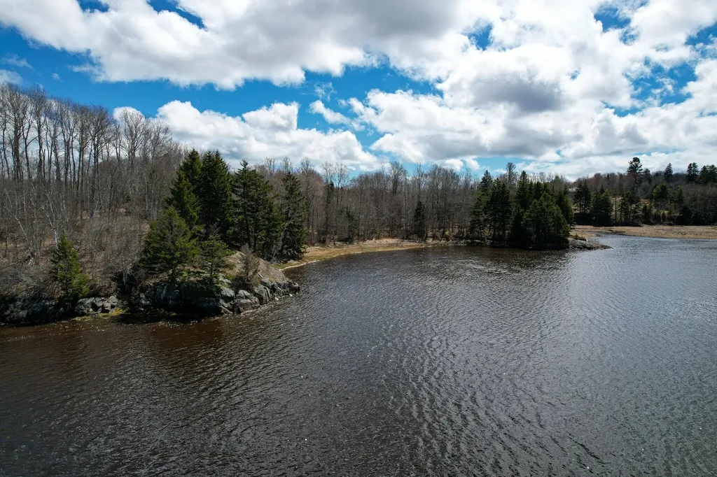 Lot 5-3 East Palmer Road Machiasport ME 04655