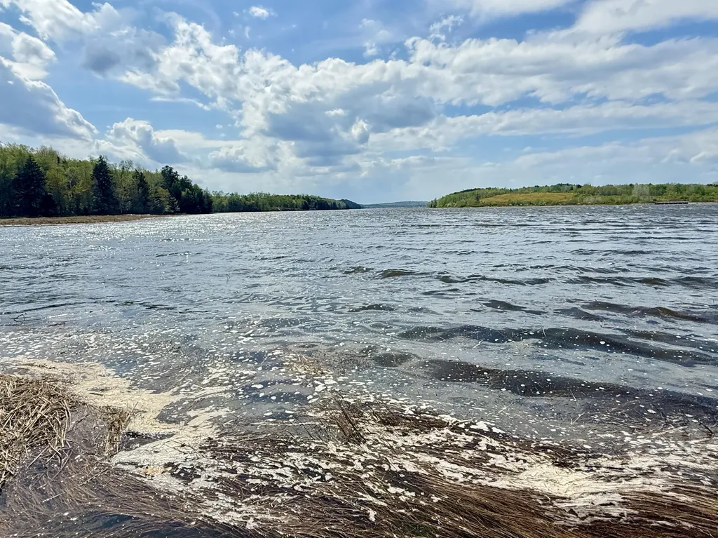 Lot 5-3 East Palmer Road Machiasport ME 04655
