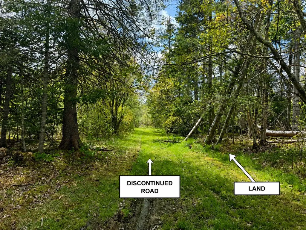 Lot 5-3 East Palmer Road Machiasport ME 04655