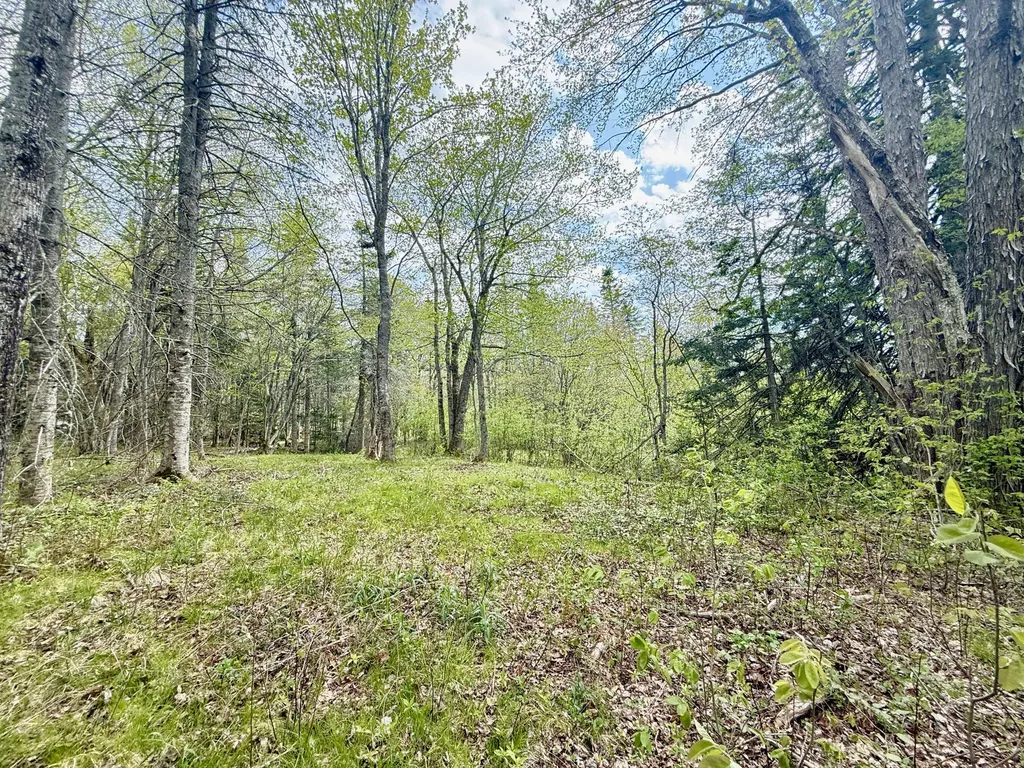 Lot 5-3 East Palmer Road Machiasport ME 04655
