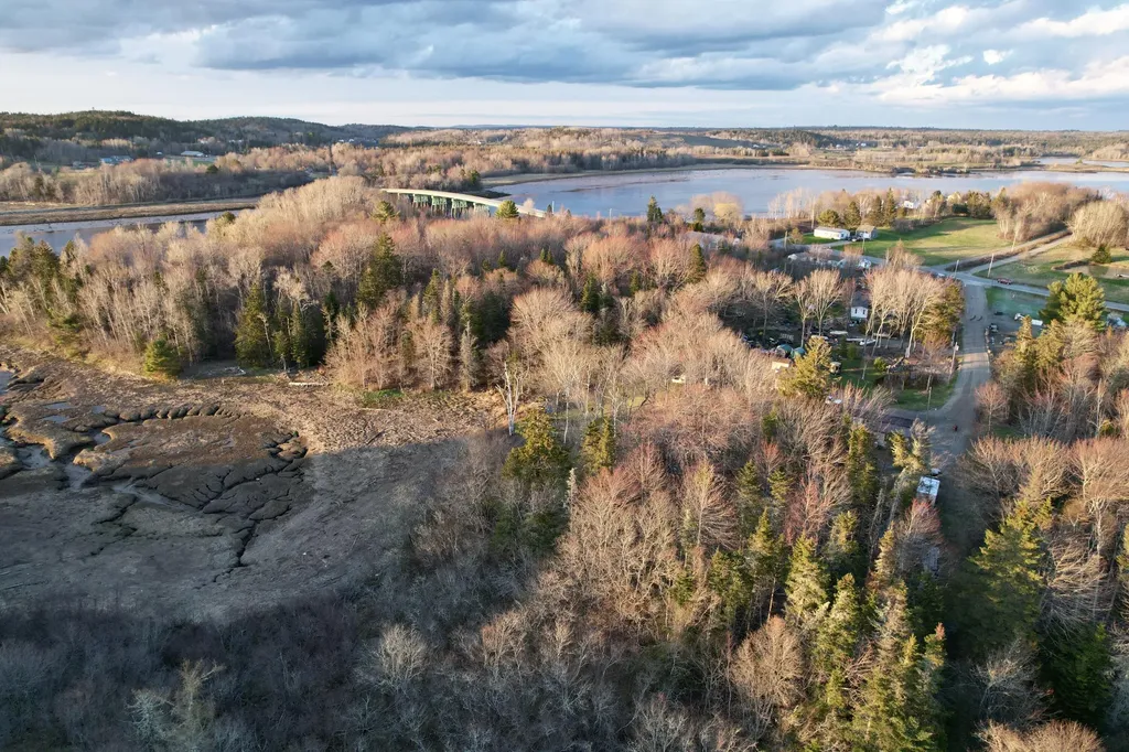 Lot 5-3 East Palmer Road Machiasport ME 04655