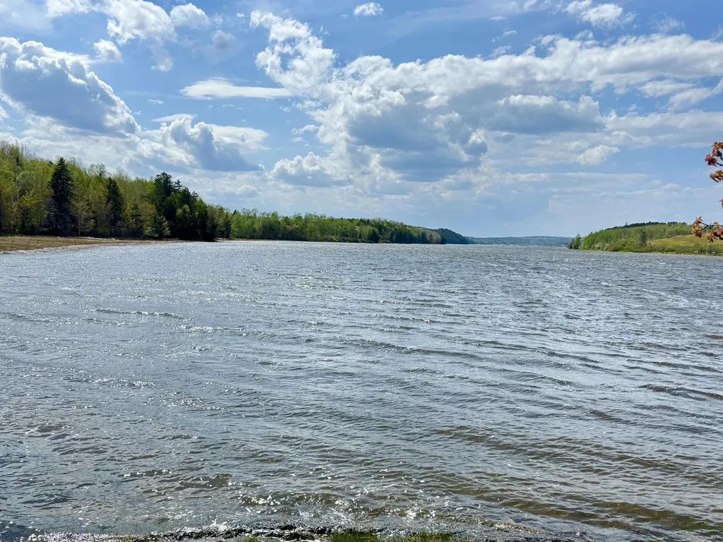 Lot 5-3 East Palmer Road Machiasport ME 04655