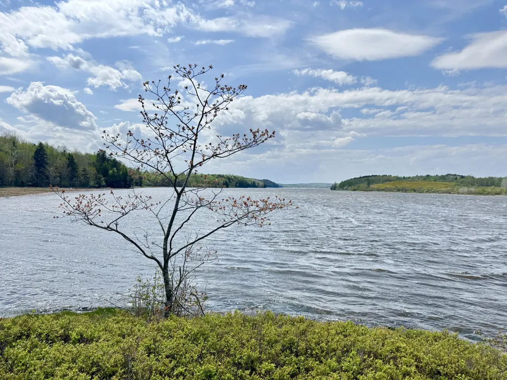 Lot 5-3 East Palmer Road Machiasport ME 04655