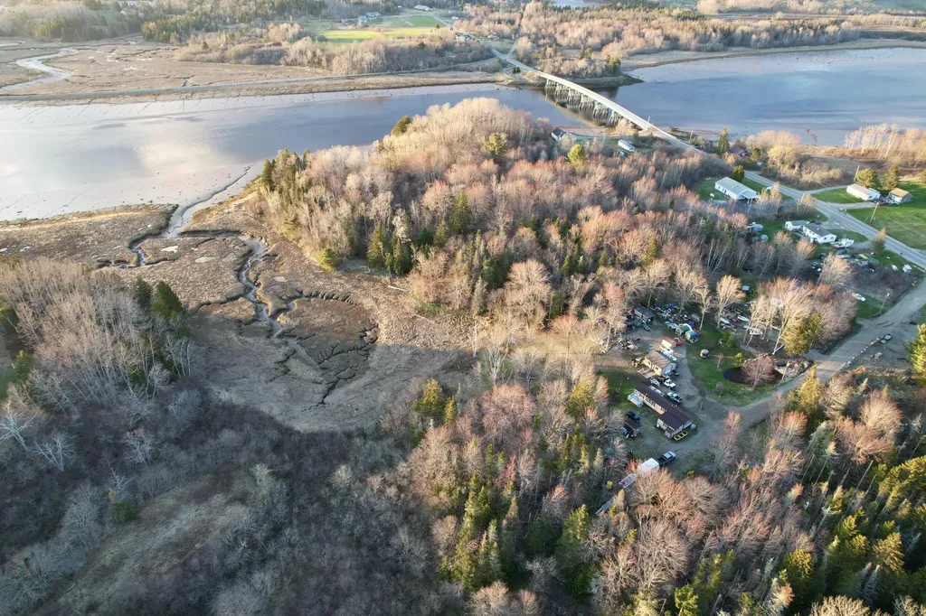 Lot 5-3 East Palmer Road Machiasport ME 04655