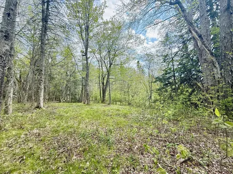 Lot 5-3 East Palmer Road Machiasport ME 04655