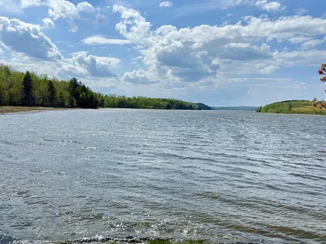 Lot 5-3 East Palmer Road Machiasport ME 04655