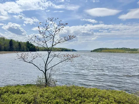 Lot 5-3 East Palmer Road Machiasport ME 04655