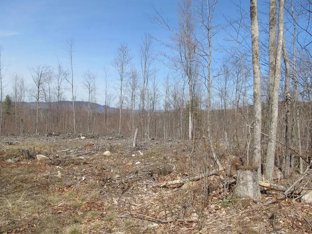 25-10 Klondike Hill Lane West Paris ME 04289