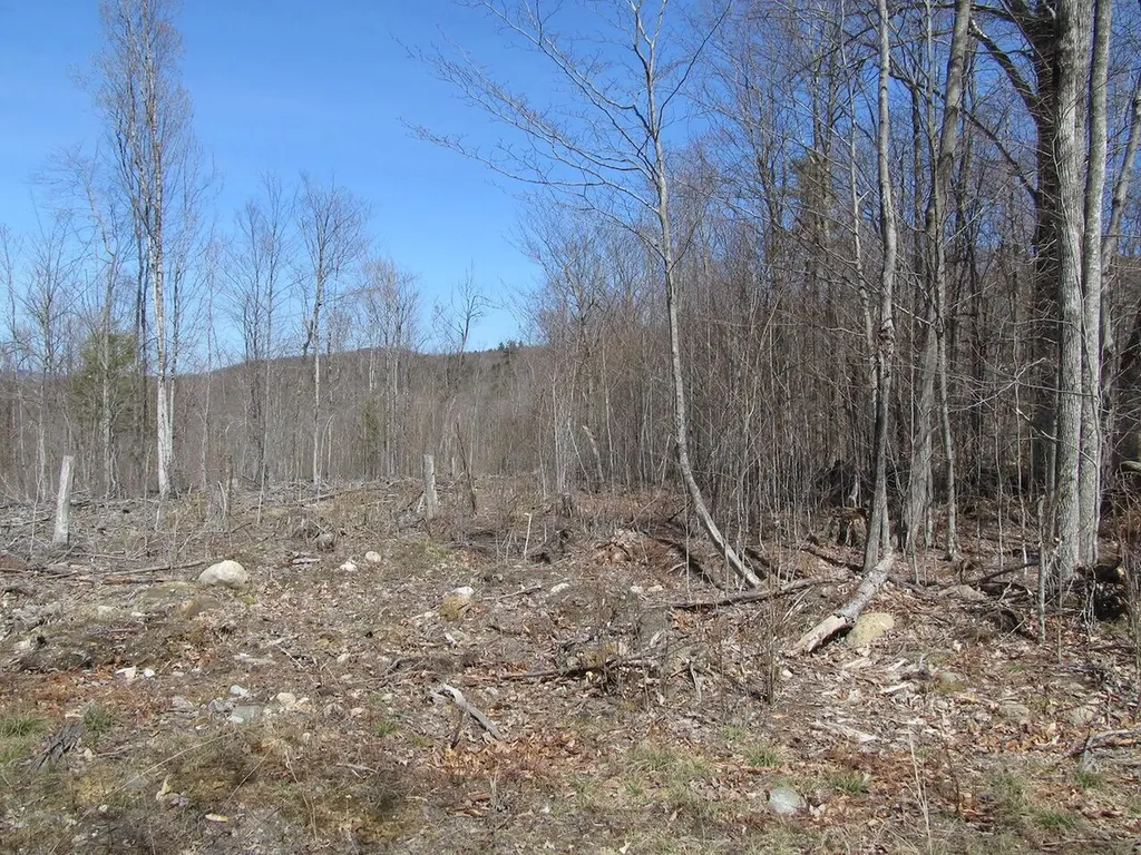 25-10 Klondike Hill Lane West Paris ME 04289