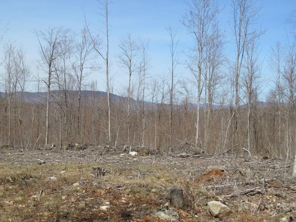 25-10 Klondike Hill Lane West Paris ME 04289