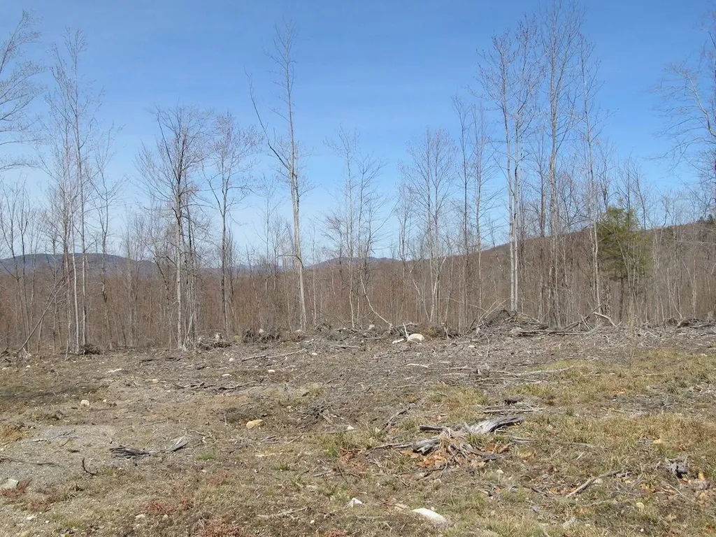 25-10 Klondike Hill Lane West Paris ME 04289