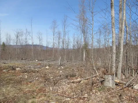 25-10 Klondike Hill Lane West Paris ME 04289