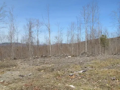 25-10 Klondike Hill Lane West Paris ME 04289