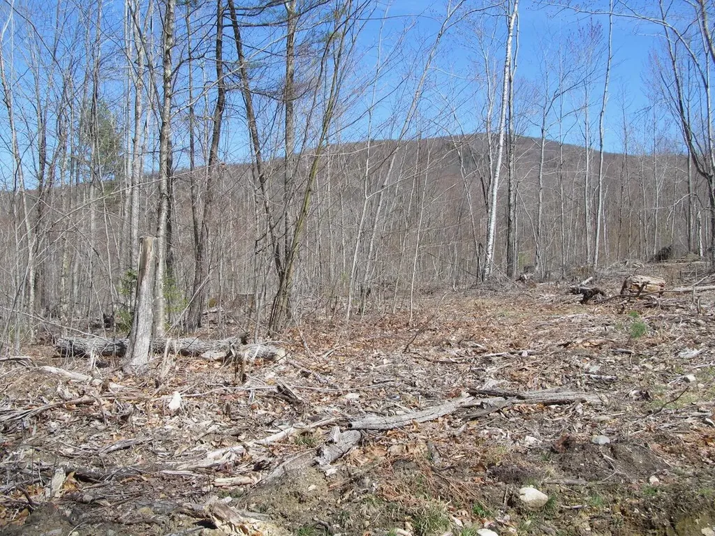 25-9 Klondike Hill Lane West Paris ME 04289