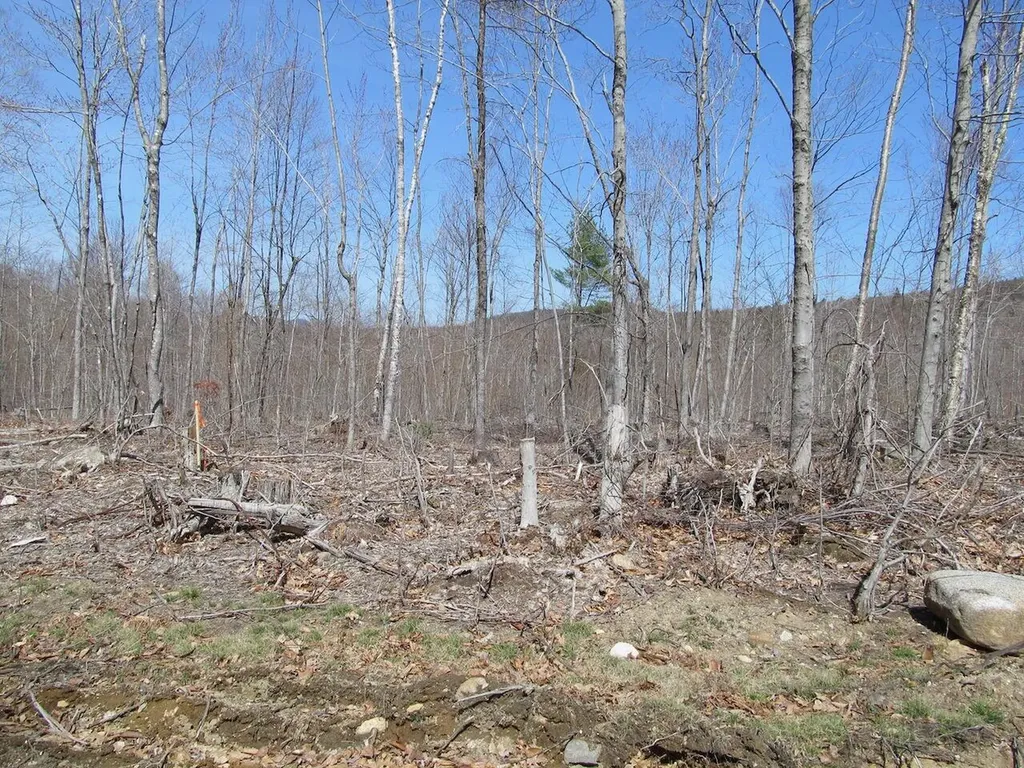 25-9 Klondike Hill Lane West Paris ME 04289