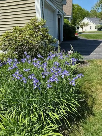 28 Lone Pine Lane Yarmouth ME 04096