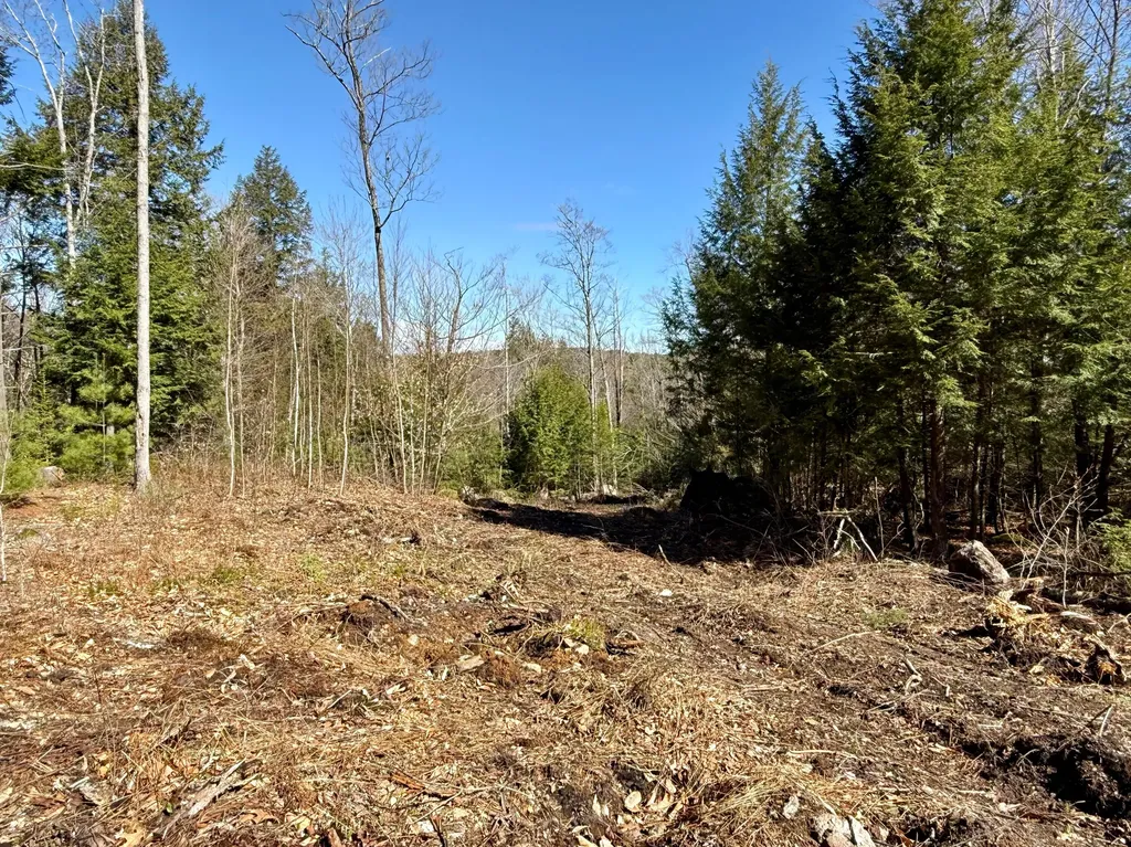 MAP8LOT53B Buckfield Road Paris ME 04271