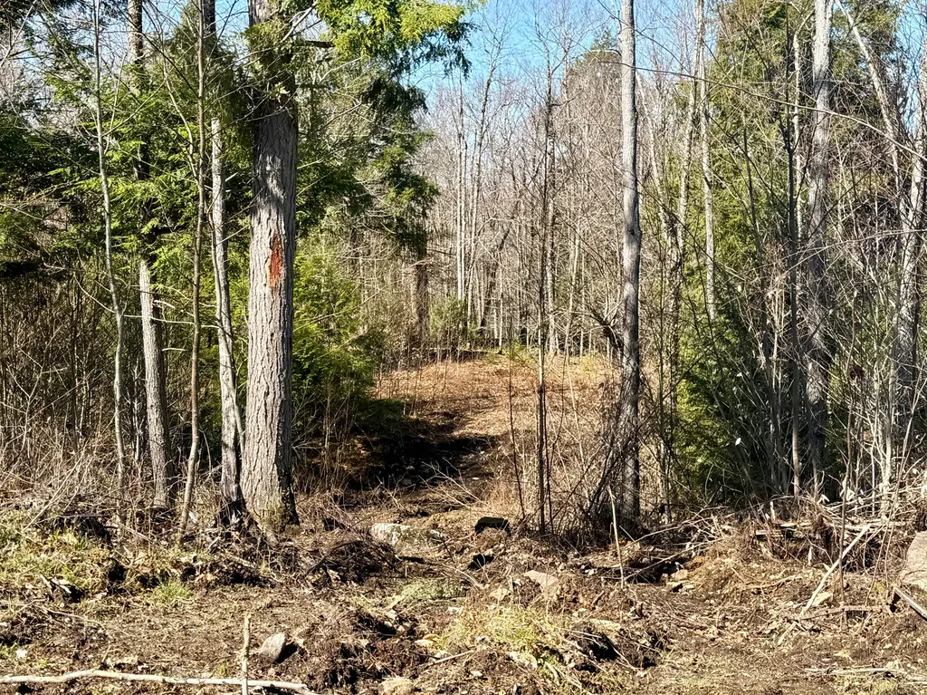 MAP8LOT53B Buckfield Road Paris ME 04271